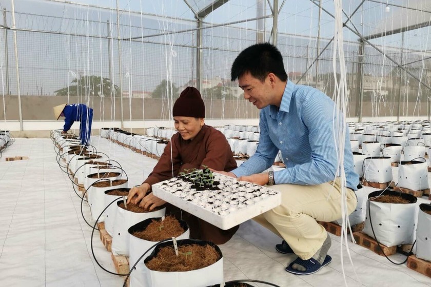 Điểm tựa cho sản phẩm của chủ thể Hợp tác xã phát triển