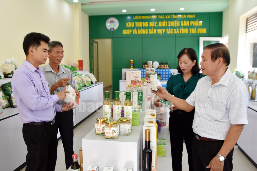 Hợp tác xã kiểu mới gắn với chuỗi giá trị