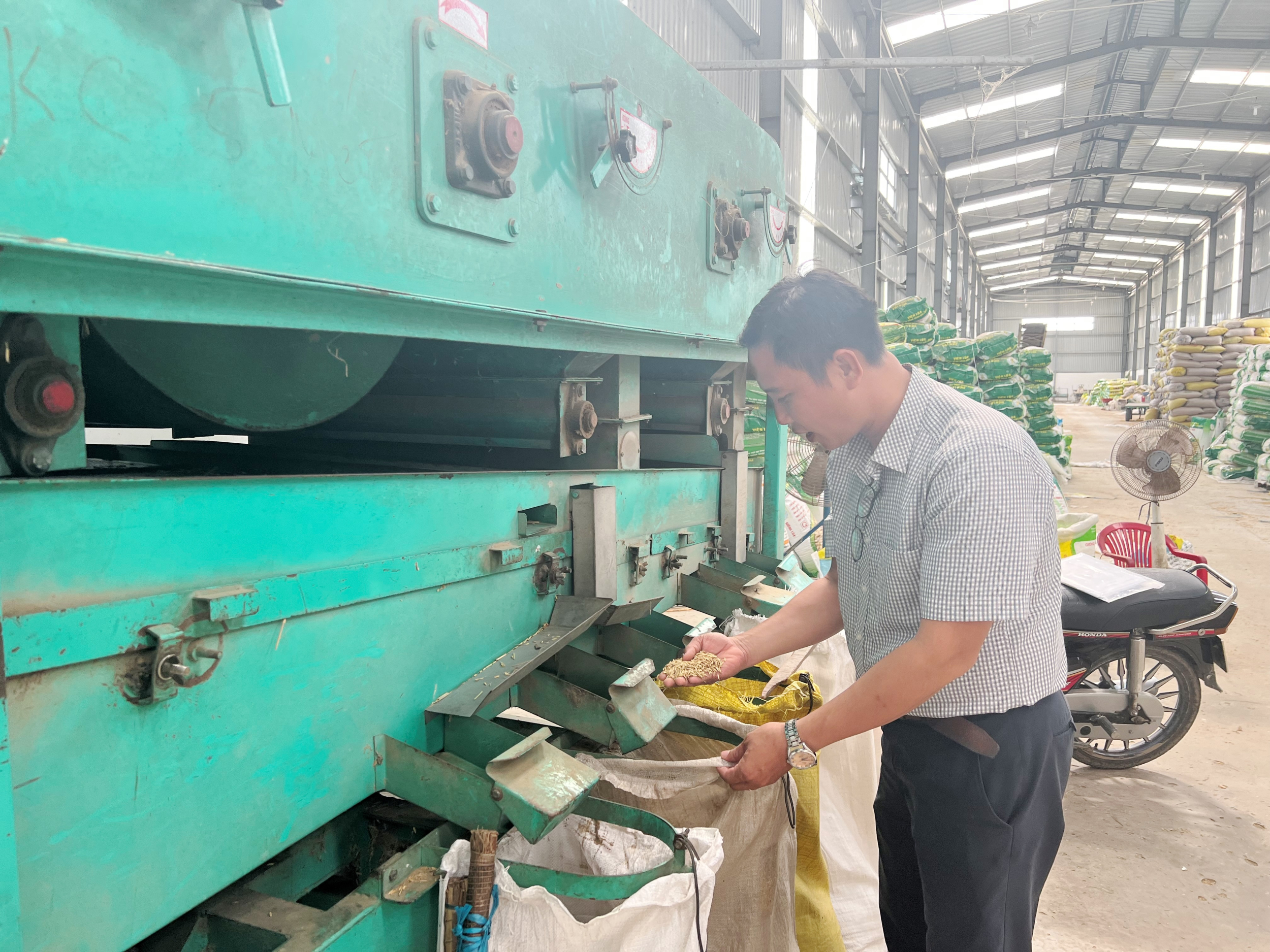 Hỗ trợ hợp tác xã nông nghiệp phát triển theo chuỗi giá trị