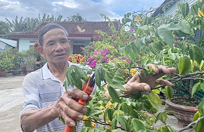 Hợp tác xã đầu tiên ở căn cứ địa cách mạng Khu 10
