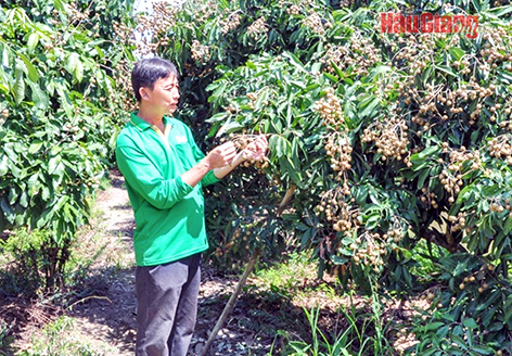 Kỳ vọng từ những mô hình kinh tế hợp tác