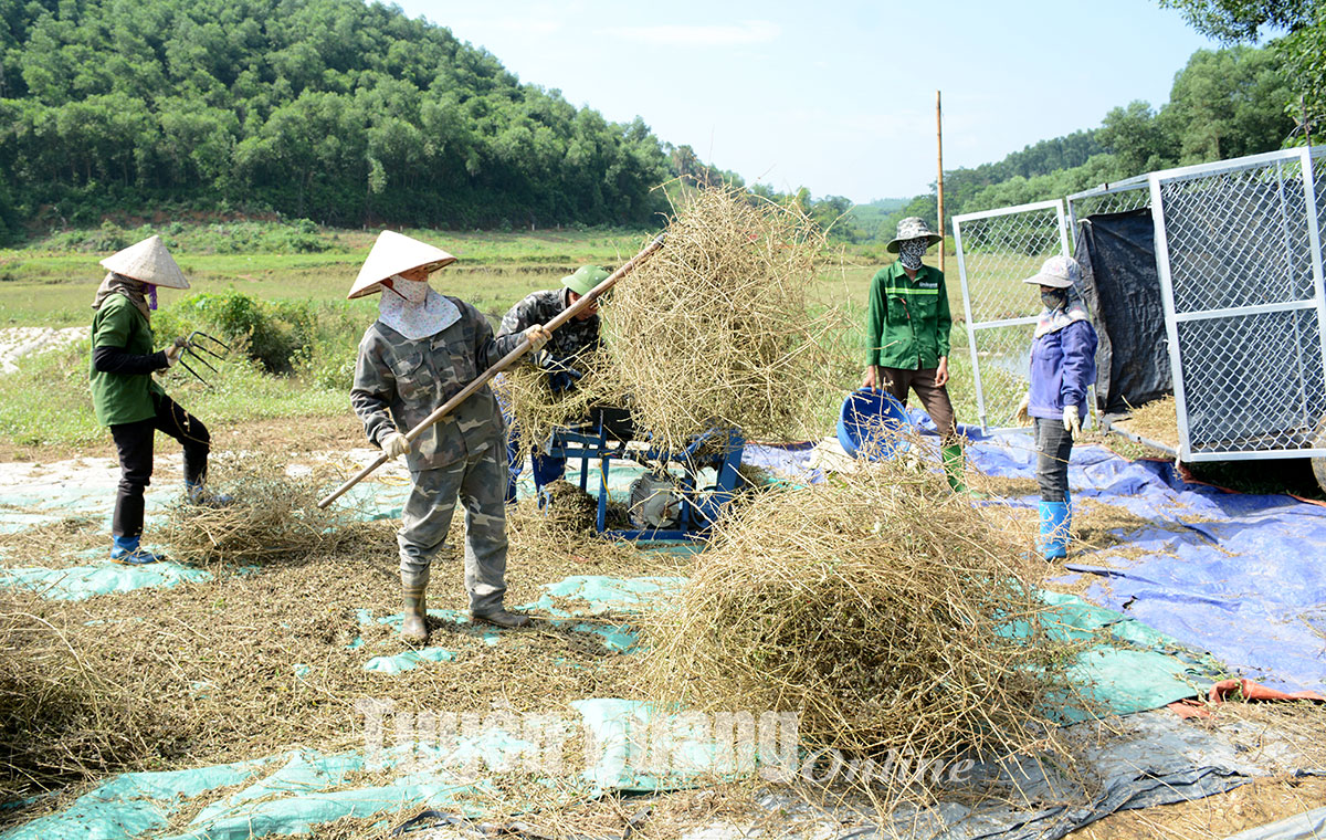 Phát huy vai trò kinh tế tập thể