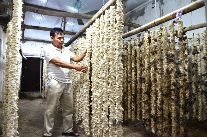 Làng tằm sắn doanh thu 60 tỉ đồng/năm