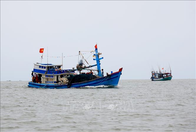 Phát triển Cà Mau trở thành trung tâm kinh tế biển bền vững