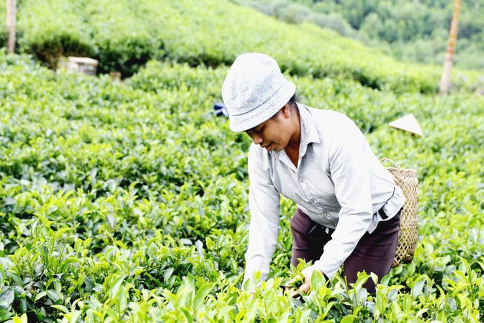 Định Hóa (Thái Nguyên) tăng tốc để về đích nông thôn mới