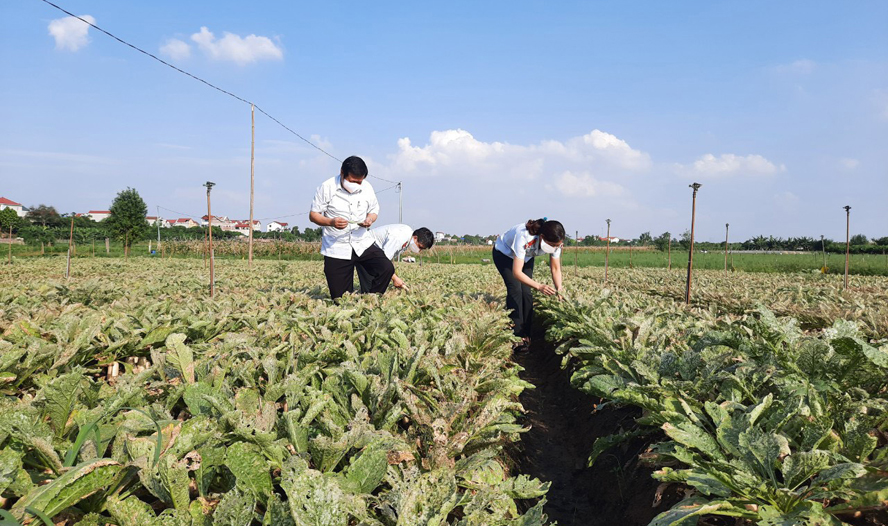 Để nông dân trở thành ''chuyên gia'' đồng ruộng
