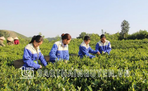  Tạo đà cho nông thôn mới bứt phá
