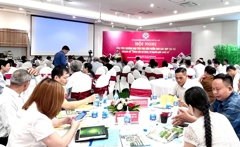 Hỗ trợ doanh nghiệp, hợp tác xã chuyển đổi số