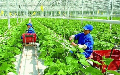 Tiếp tục thực hiện có hiệu quả Nghị quyết số 105/NQ-CP của Chính phủ về hỗ trợ doanh nghiệp, hợp tác xã, hộ kinh doanh trong bối cảnh dịch Covid-19