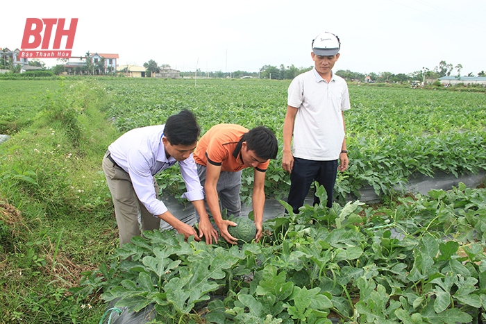 Thanh Hóa: Nga Sơn thực hiện thành công nhiều chương trình trọng tâm