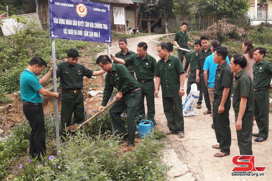 Cựu chiến binh Quỳnh Nhai thi đua phát triển kinh tế