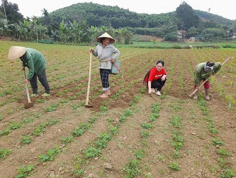 Xây dựng vùng nguyên liệu phát triển bền vững sản phẩm OCOP